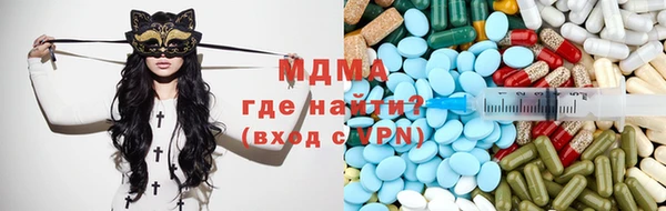 индика Вяземский