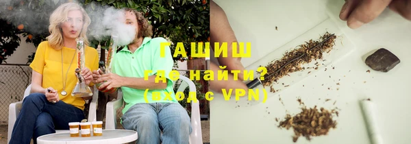 индика Вяземский