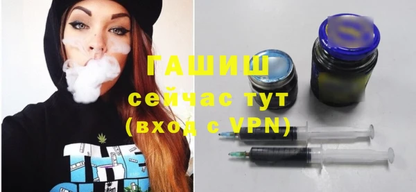 индика Вяземский