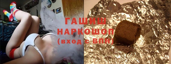 индика Вяземский