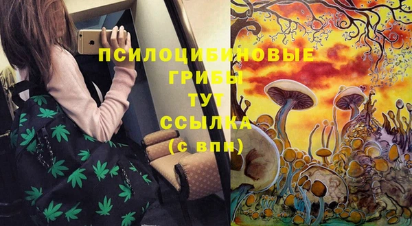 мдма Горнозаводск