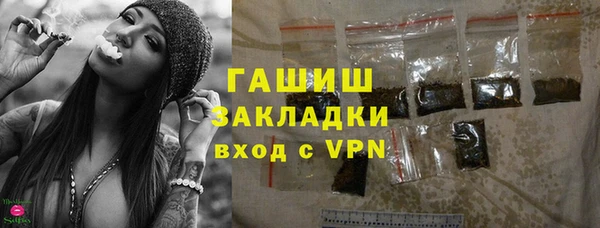 индика Вяземский