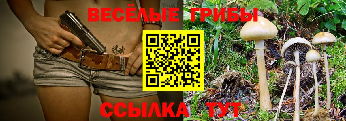 Галлюциногенные грибы GOLDEN TEACHER  Нурлат 