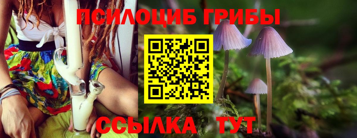 Псилоцибиновые грибы прущие грибы Нурлат